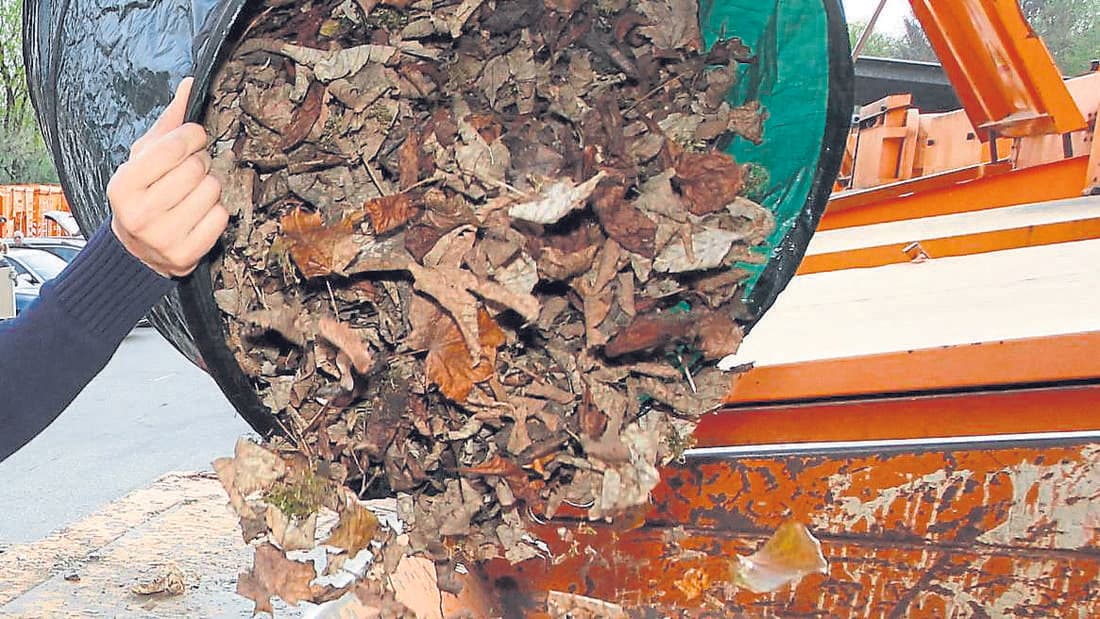 Gartenabfall Halstenbek: Wie Sie Ihren Gartenmüll professionell entsorgen