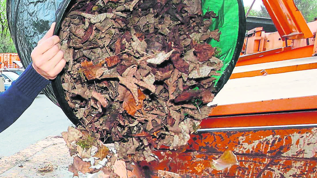 Gartenabfall Halstenbek: Wie Sie Ihren Gartenmüll professionell entsorgen